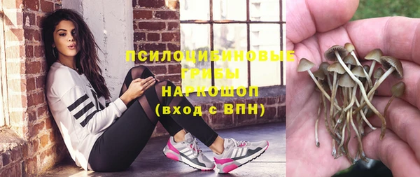 СК Заводоуковск