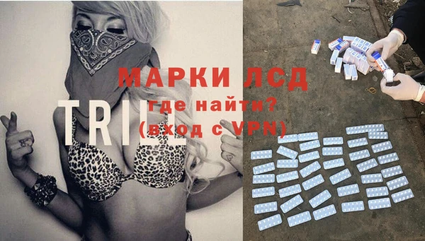 СК Заводоуковск