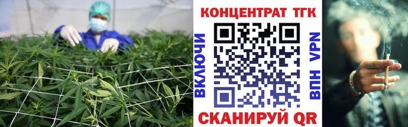 Купить закладки  Кудрово  Дистиллят ТГК гашишное масло 
