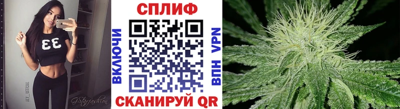 Конопля планчик Кудрово
